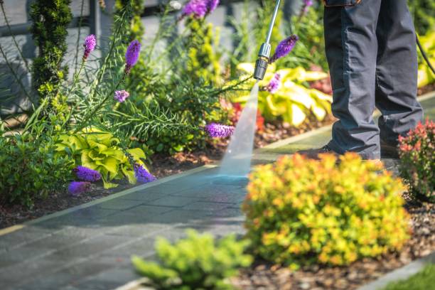 Professional Pressure Washing Services in Troy, IL