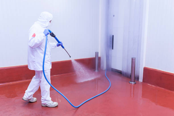 Paint Preparation in Troy, IL